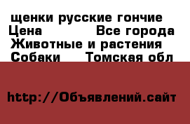 щенки русские гончие › Цена ­ 4 000 - Все города Животные и растения » Собаки   . Томская обл.